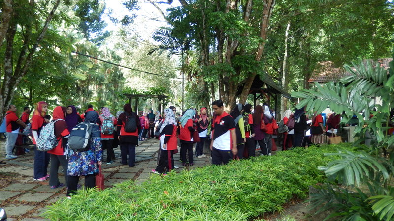 0738 DSCN0662